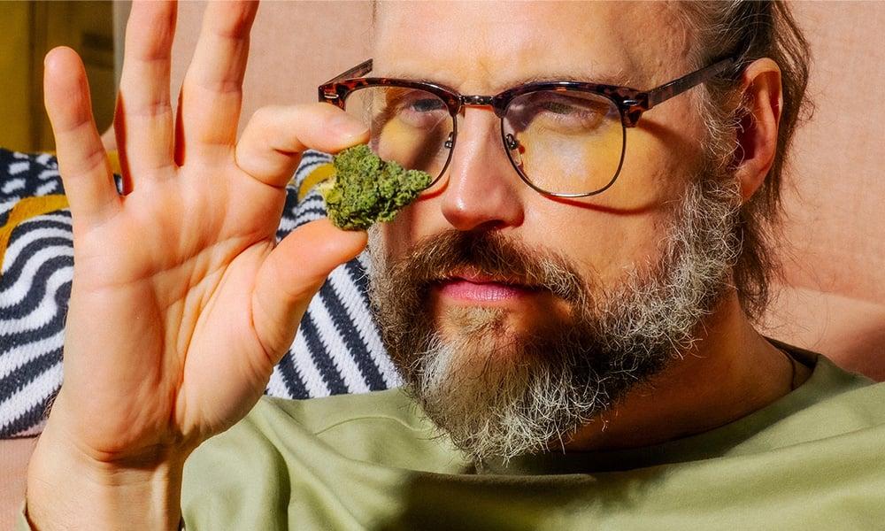 special 3340167 photo