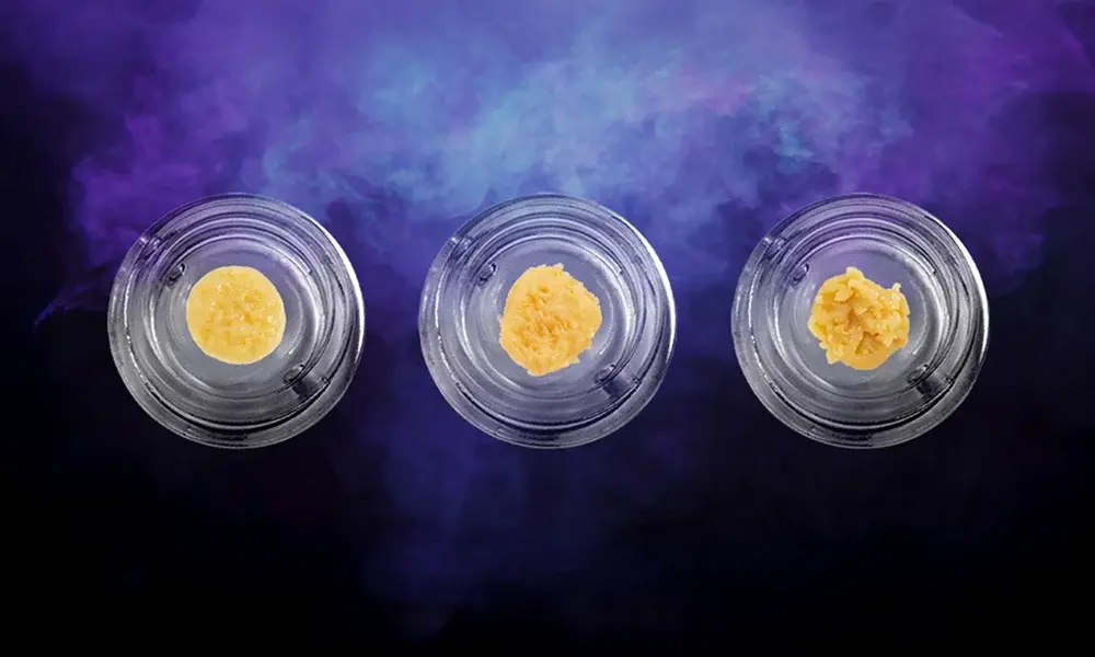 special 3364279 photo