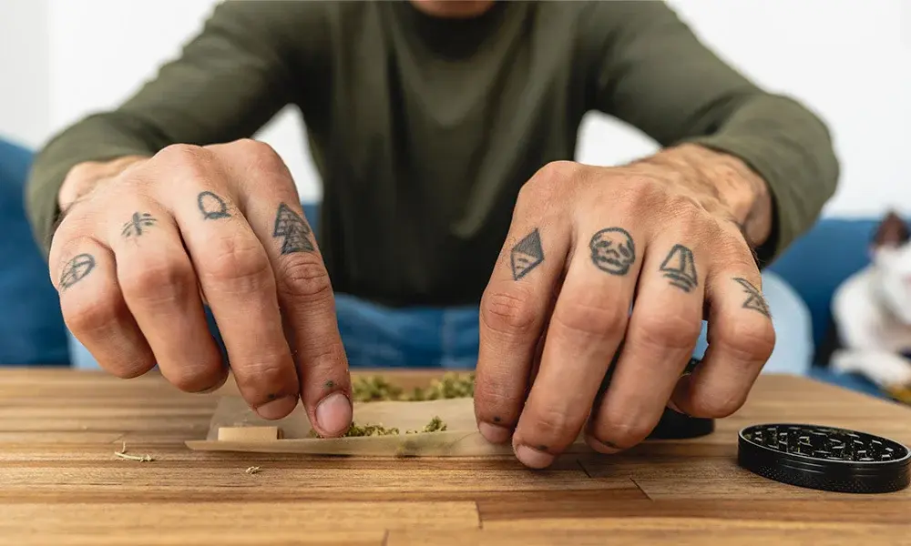 special 3263224 photo