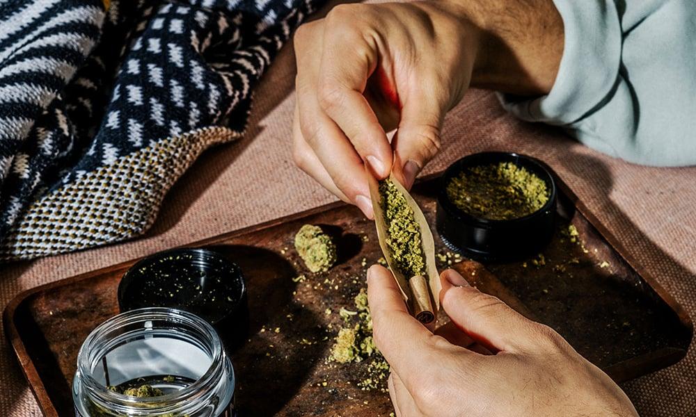 special 3231264 photo