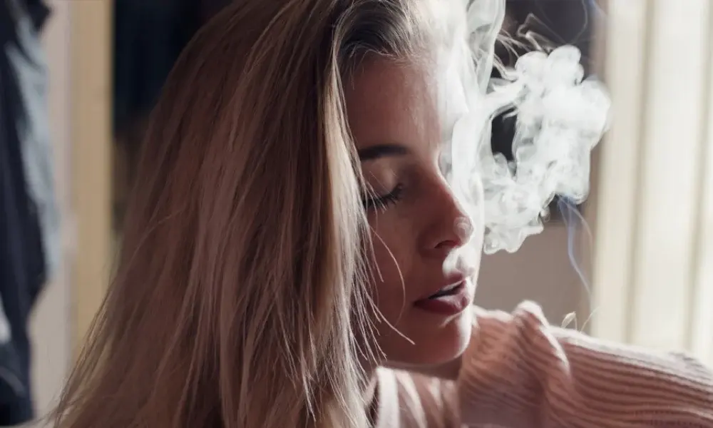 special 3307117 photo