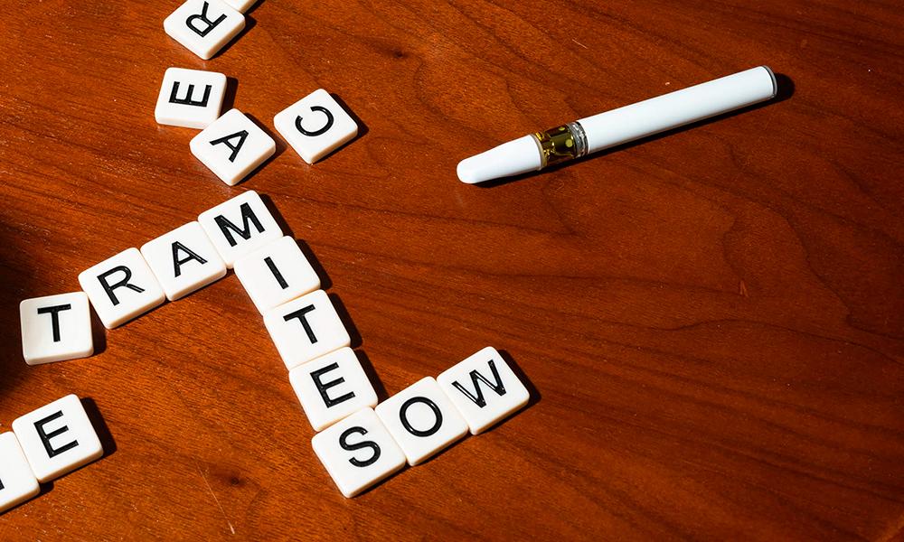 special 3308097 photo