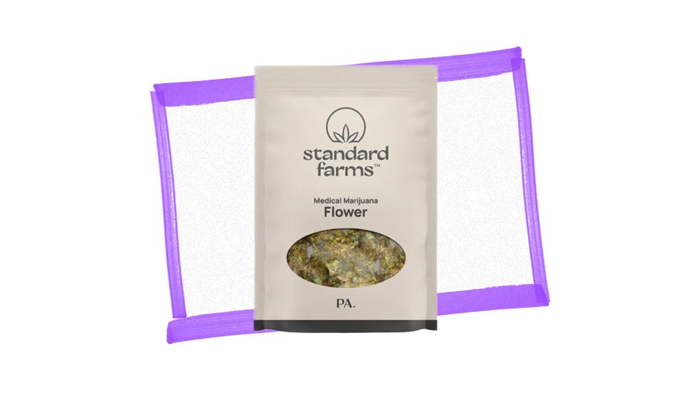 special 3330598 photo